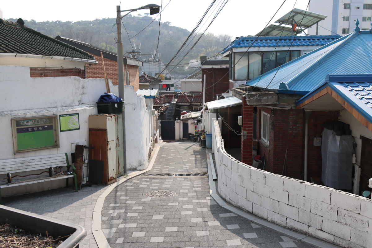 녹번역 숨겨진 벚꽃맛집