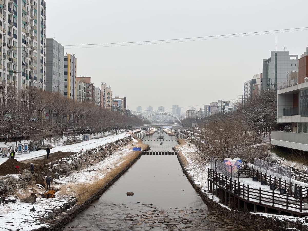 눈오는날 동네 마실