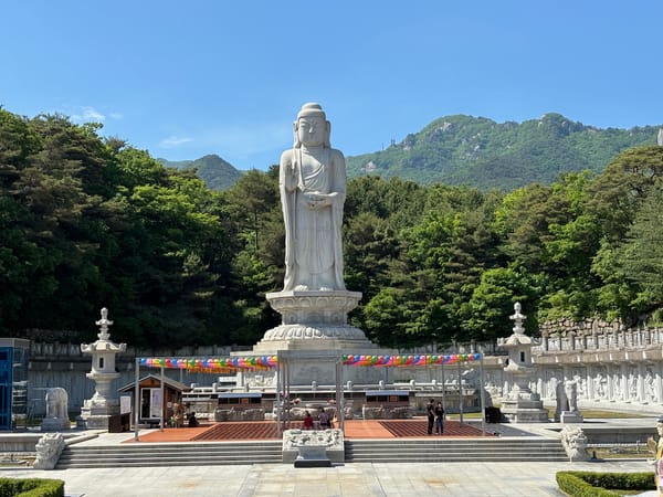 대구 동화사 통일약사여래대불 구경