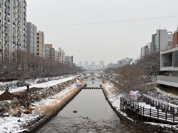 눈오는날 동네 마실